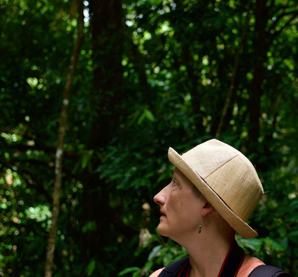 Beth looking into the rainforest