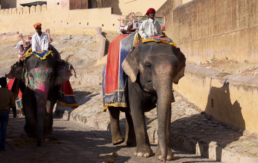 amberfort - 6