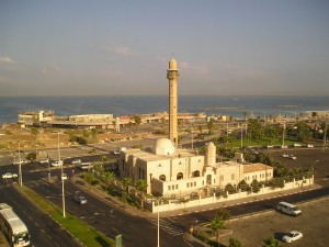 the view outside my window