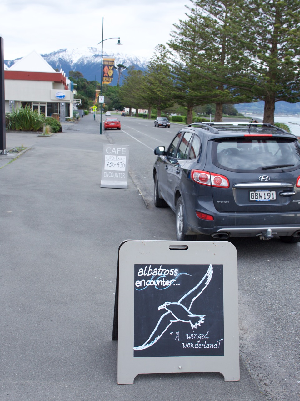 09-2015 Albatross Encounter - 1 of 17