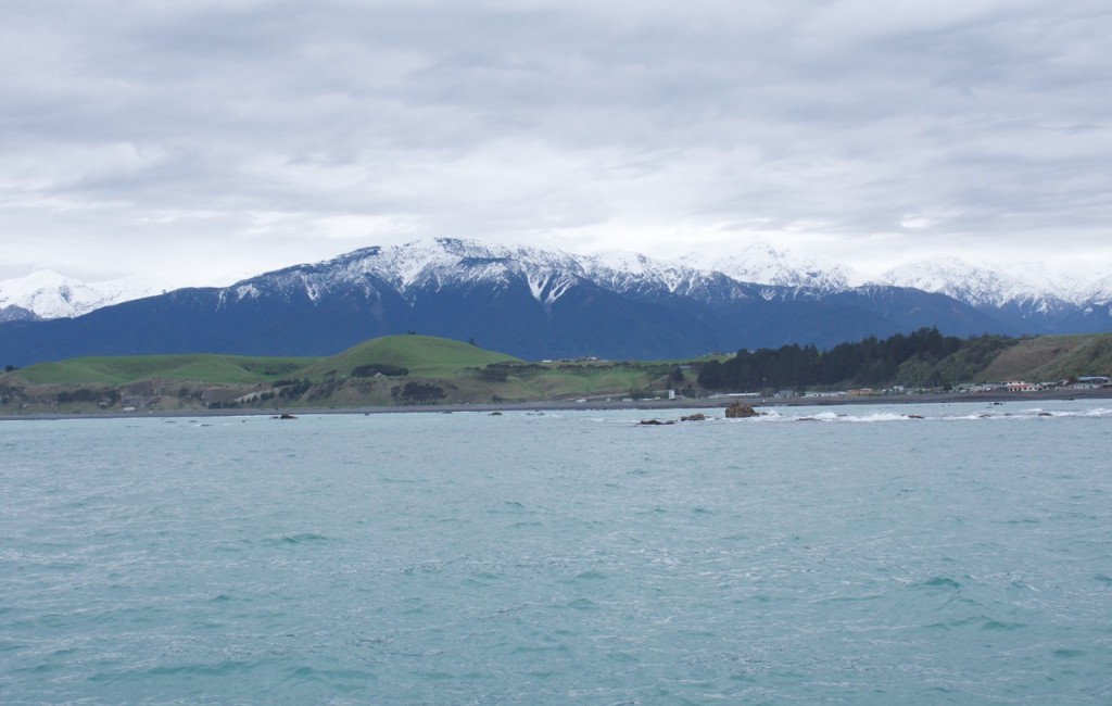 09-2015 Albatross Encounter - 3 of 17